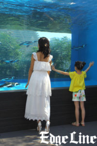 小島瑠璃子＆「直虎」幼少期で話題の新井美羽サンシャイン水族館のリニューアルで大興奮！「デートで来れたら」とも3
