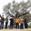 V6が11月1日江戸川区の区立なぎさ公園に「ブイロクの木」を寄贈！「笑顔でいて欲しいね」から話し合う【V6メッセージ全文】