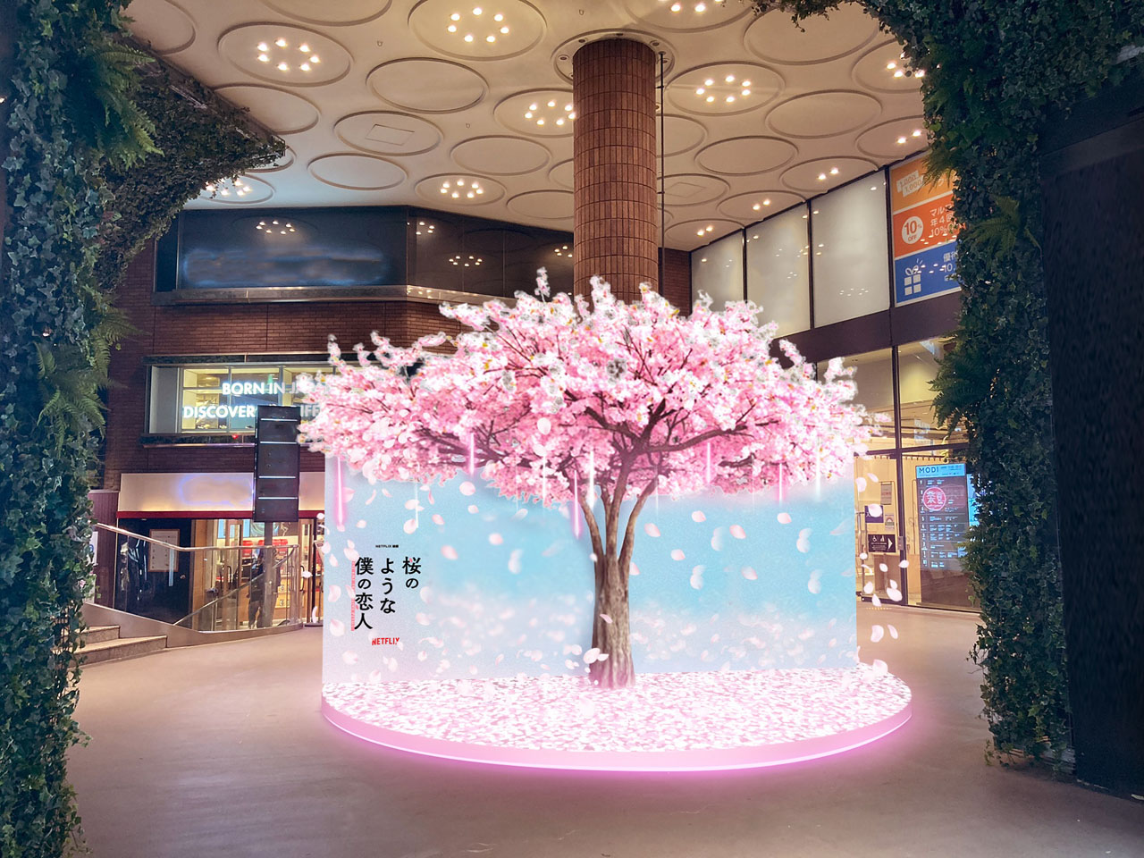 中島健人主演映画「桜のような僕の恋人」配信記念したフォトスポットの桜の木が渋谷モディに！タワーレコード渋谷店ではパネル展も開催1