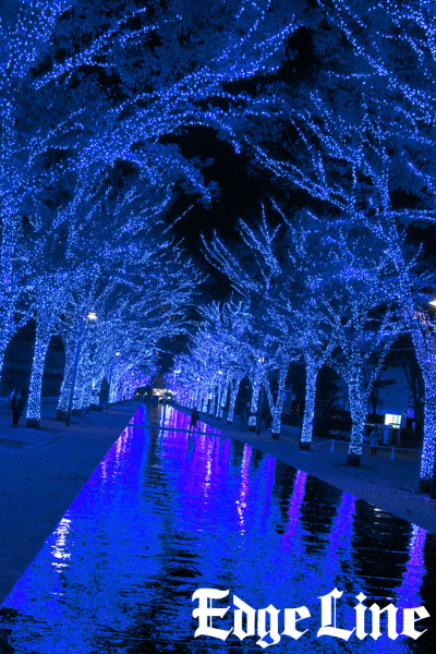 栗山千明,青の洞窟SHIBUYA,渋谷,代々木公園ケヤキ並木,クリスマスイルミネーション,点灯式9