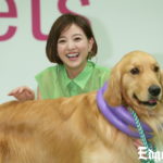 伊藤千晃「履いた靴下を持ち去る」愛犬との生活で”あるある”続出！育児は「愛犬と子どもが遊んでいるのを見ながら家事するのが幸せ」