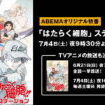 花澤香菜と前野智昭が出演する特別番組「はたらく細胞」ステーションABEMA独占放送！TVアニメ「はたらく細胞」全話一挙放送