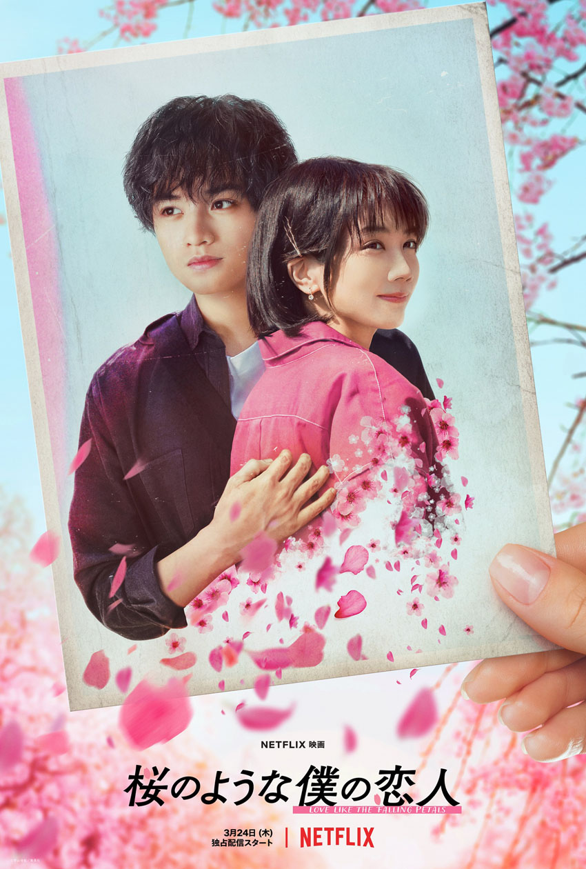 中島健人 主演のNetflix映画「桜のような僕の恋人」ティザーアート解禁！ティザー予告映像では「僕は春が来ると、君のことを思い出すんだ」1