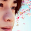 中島健人 美しく散る桜の花びらに包まれるキーアート！主演映画「桜のような僕の恋人」主題歌にMr.Children起用で本予告映像で初めて恋に落ちた瞬間切り取る