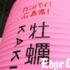 冬よりも実入りのいい春牡蠣を広島のランドマーク周辺で“はしご牡蠣”！一口では食べきれない大ぶりカキフライやクラフトビールに相性ぴったりの牡蠣料理など