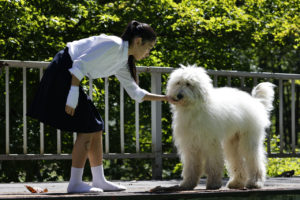 田中圭出演映画「ハウ」現場オフショット映像！“人と犬の絆”4