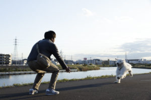 田中圭出演映画「ハウ」現場オフショット映像！“人と犬の絆”7