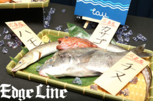 銀座で「瀬戸内の地魚フェア」初開催！リーズナブルなお値段で3