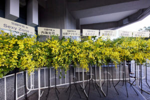 男闘呼組「LAST FOREVER」日本武道館で4日間開催で4万8000人動員13