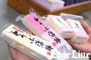 “観測率99％”のイルカウォッチング！南島原の食や雲仙・普賢岳噴火爪痕も21