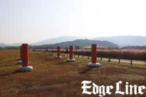 大和三山望める藤原宮跡や薔薇咲くおふさ観音！飛鳥地方伝統の飛鳥鍋も1