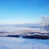 北海道富良野の魅力を再発見！冬限定「農・スノー」ツアーで極寒のごちそうを満喫