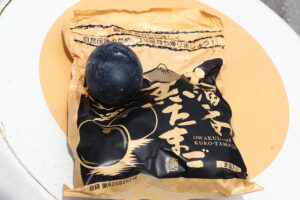 箱根・大涌谷で普段は入れない自然研究路を体験！ヴェネチアンガラスや圧巻の庭園も55