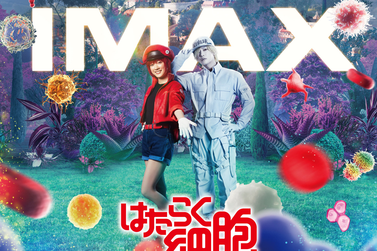 はたらく細胞　永野芽郁　佐藤健　芦田愛菜　阿部サダヲ　映画チラシ　フライヤーd9 hata3-300x300.jpg