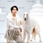 松村北斗5年間振り返り『SixTONESデビュー』、『映画賞』、『大泉洋の…』が印象的