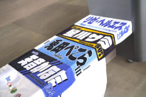 にじさんじ×ホロライブ「DMMオンクレpresents にじホロ交流戦2025」DAY1！エスコンフィールド熱気71