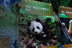 大阪・関西万博 中国パビリオン“過去”の上に立つ演出！パンダや「一番重要」月企画10