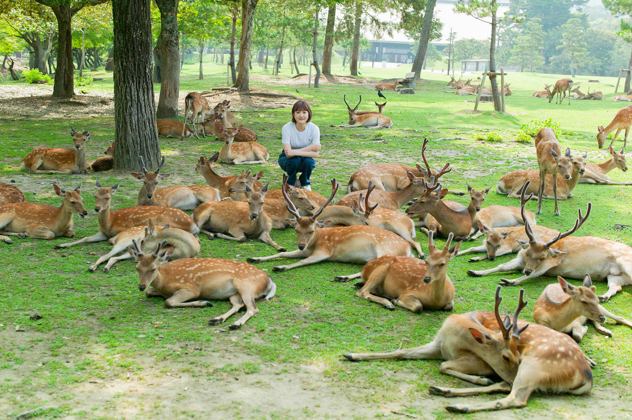 久保ユリカ2ndアルバム『シカノコ』リリースへ!10周年でアーティスト活動終了も発表4