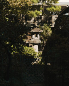 岸優太アンバサダー「バナナ・リパブリック」HOLIDAYキャンペーンスタート3