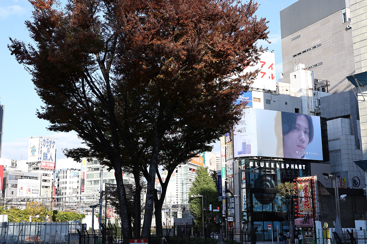 「雪肌精」ムービーでNumber_i・平野紫耀、神宮寺勇太、岸優太新宿の巨大ビジョンに!陽を浴びて輝き増す10
