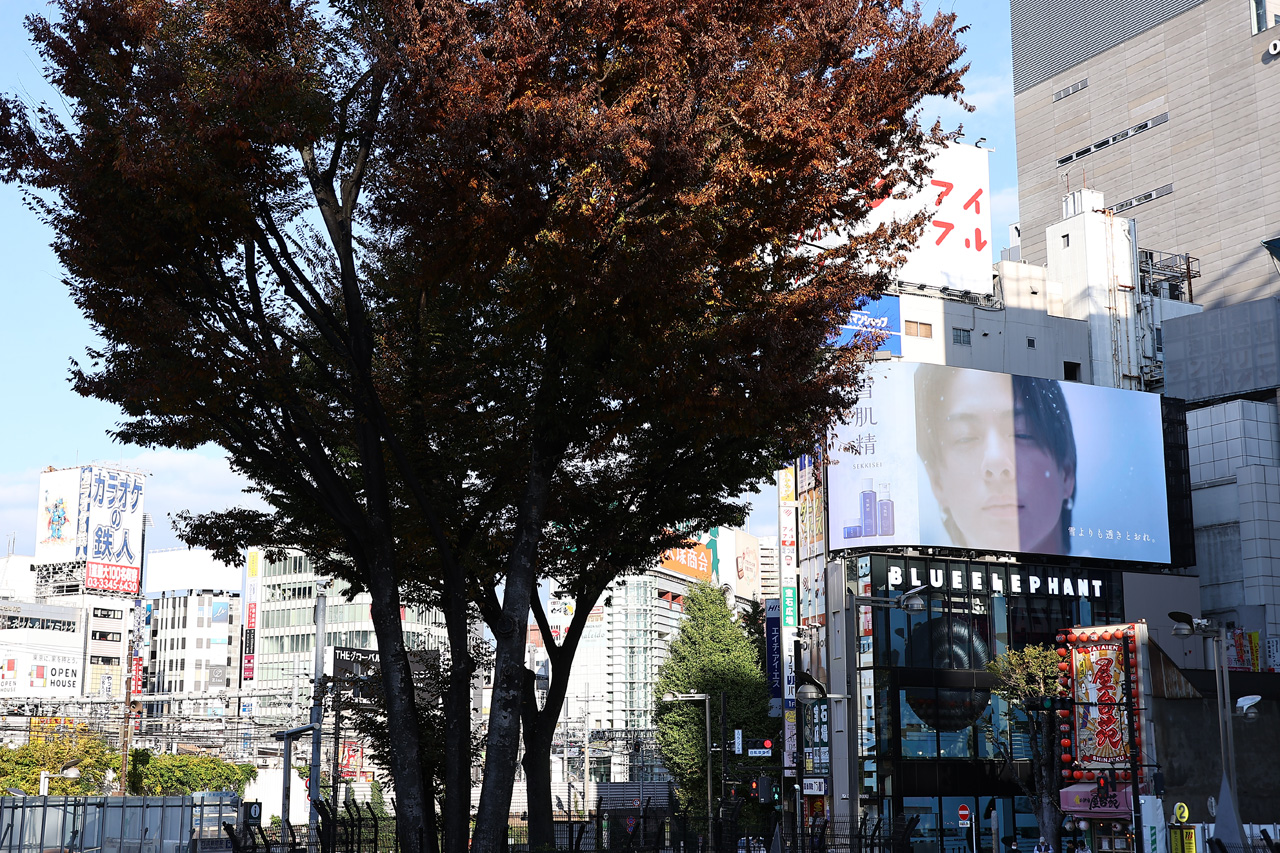 「雪肌精」ムービーでNumber_i・平野紫耀、神宮寺勇太、岸優太新宿の巨大ビジョンに!陽を浴びて輝き増す11