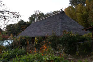 大阪・服部緑地公園内の日本民家集落博物館が初夜間公開で11月22日だけライトアップ！昼とは違う趣に12