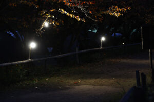 大阪・服部緑地公園内の日本民家集落博物館が初夜間公開で11月22日だけライトアップ！昼とは違う趣に22