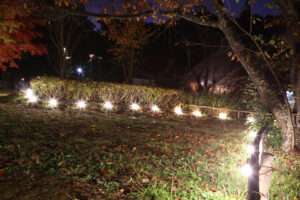 大阪・服部緑地公園内の日本民家集落博物館が初夜間公開で11月22日だけライトアップ！昼とは違う趣に25