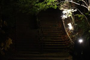 大阪・服部緑地公園内の日本民家集落博物館が初夜間公開で11月22日だけライトアップ！昼とは違う趣に31