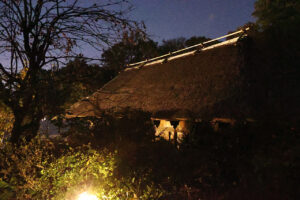 大阪・服部緑地公園内の日本民家集落博物館が初夜間公開で11月22日だけライトアップ！昼とは違う趣に34