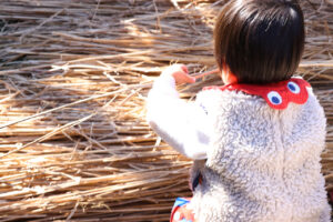 ミャクミャクともずやん服部緑地公園の日本民家集落博物館に現れ大盛況！大阪・関西万博万博の茅贈呈セレモニー25