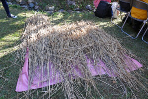 ミャクミャクともずやん服部緑地公園の日本民家集落博物館に現れ大盛況！大阪・関西万博万博の茅贈呈セレモニー27