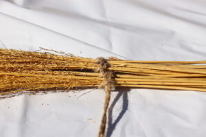 ミャクミャクともずやん服部緑地公園の日本民家集落博物館に現れ大盛況！大阪・関西万博万博の茅贈呈セレモニー30