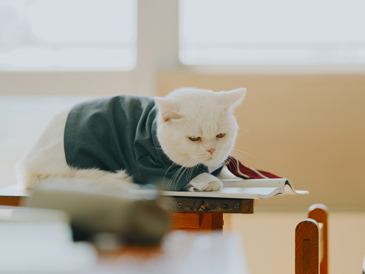 香取慎吾 実写映画『高校生家族』主演!“息子”齋藤潤“妻”仲里依紗“娘”永尾柚乃と高校生2