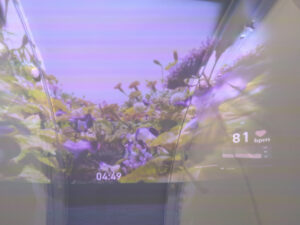 大阪・関西万博 大阪ヘルスケアパビリオンで話題「ミライ人間洗濯機」体験レポート！“高級外車1台分”と社会貢献4