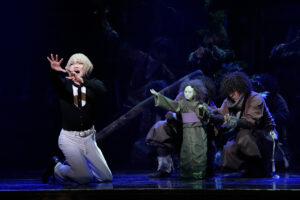 「ミュージカル『刀剣乱舞』 髭切 単騎出陣 ～夢幻泡影～」ゲネプロ！髭切役三浦宏規生演奏のなか変幻自在7