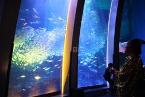 松平健 八景島シーパラダイス“降臨”で「上様」フィーバー！「晴れさせ契約」驚きの報酬？3