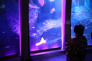 松平健 八景島シーパラダイス“降臨”で「上様」フィーバー！「晴れさせ契約」驚きの報酬？4