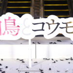 岸善幸監督　映画『白鳥とコウモリ』へ東野圭吾さんが「きっと本当に喜んでもらえると思います」